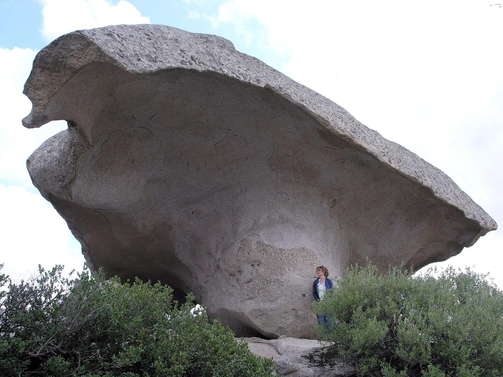 La roccia del Fungo di Arzachena, grande masso di granito a forma di fungo tra la macchia mediterranea