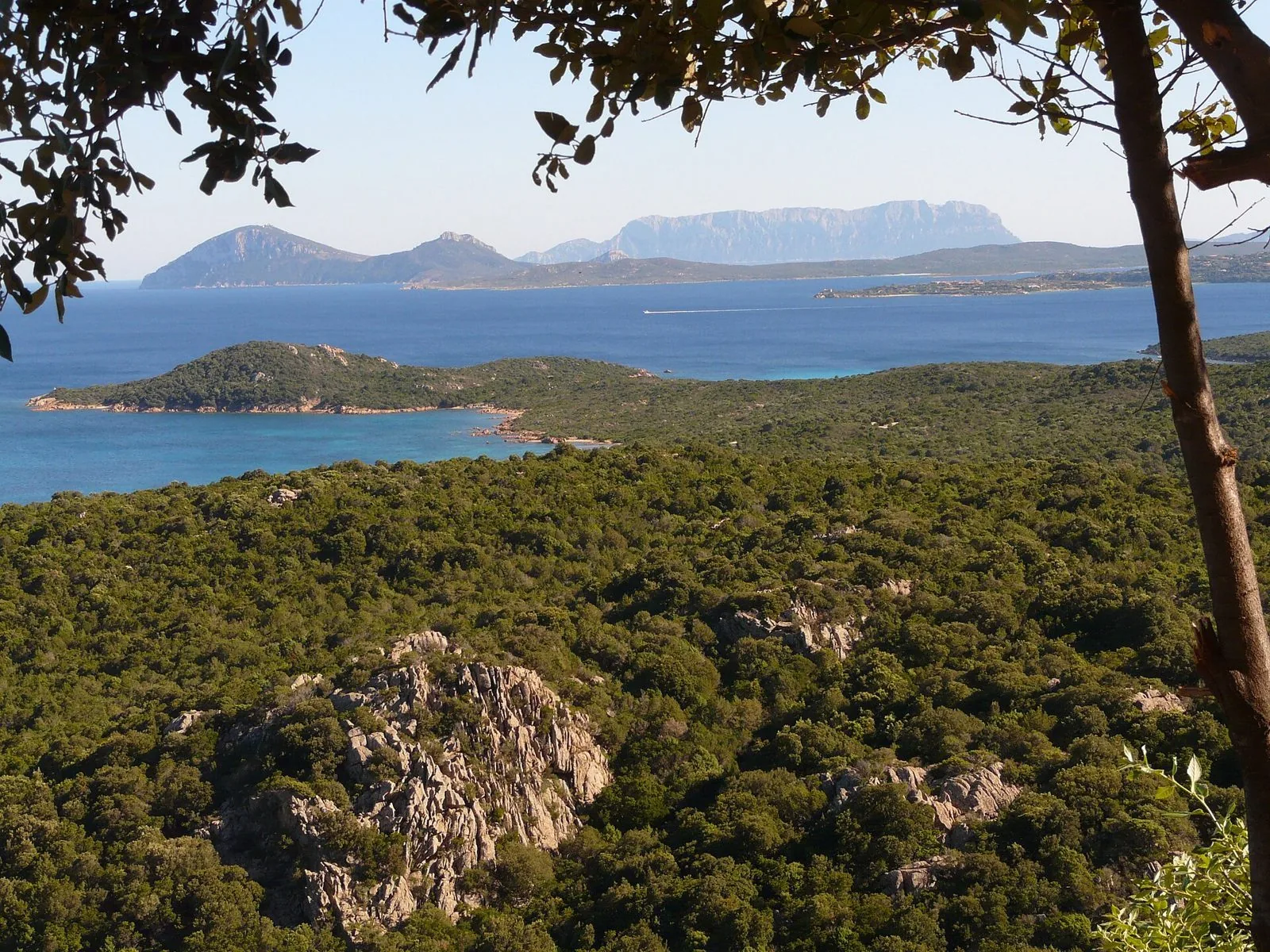 Macchia mediterranea e rocce di granito affacciate sul mare della Costa Smeralda, con Tavolara all'orizzonte